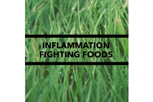 Weekly Tip - 16 inflammation fighting foods