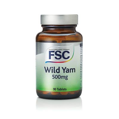 Wild Yam 500mg-90 Tablets