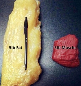 Why you shouldn't always listen to what the scale says.