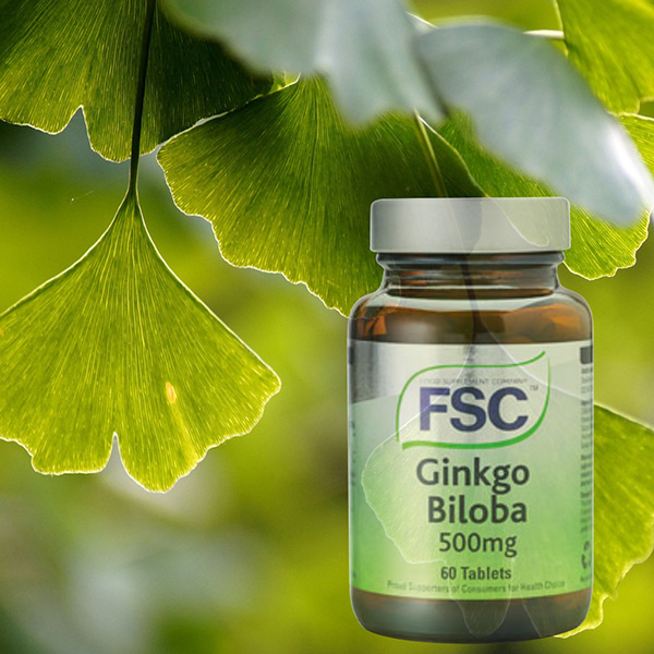 The Top 4 Benefits of Ginkgo Biloba
