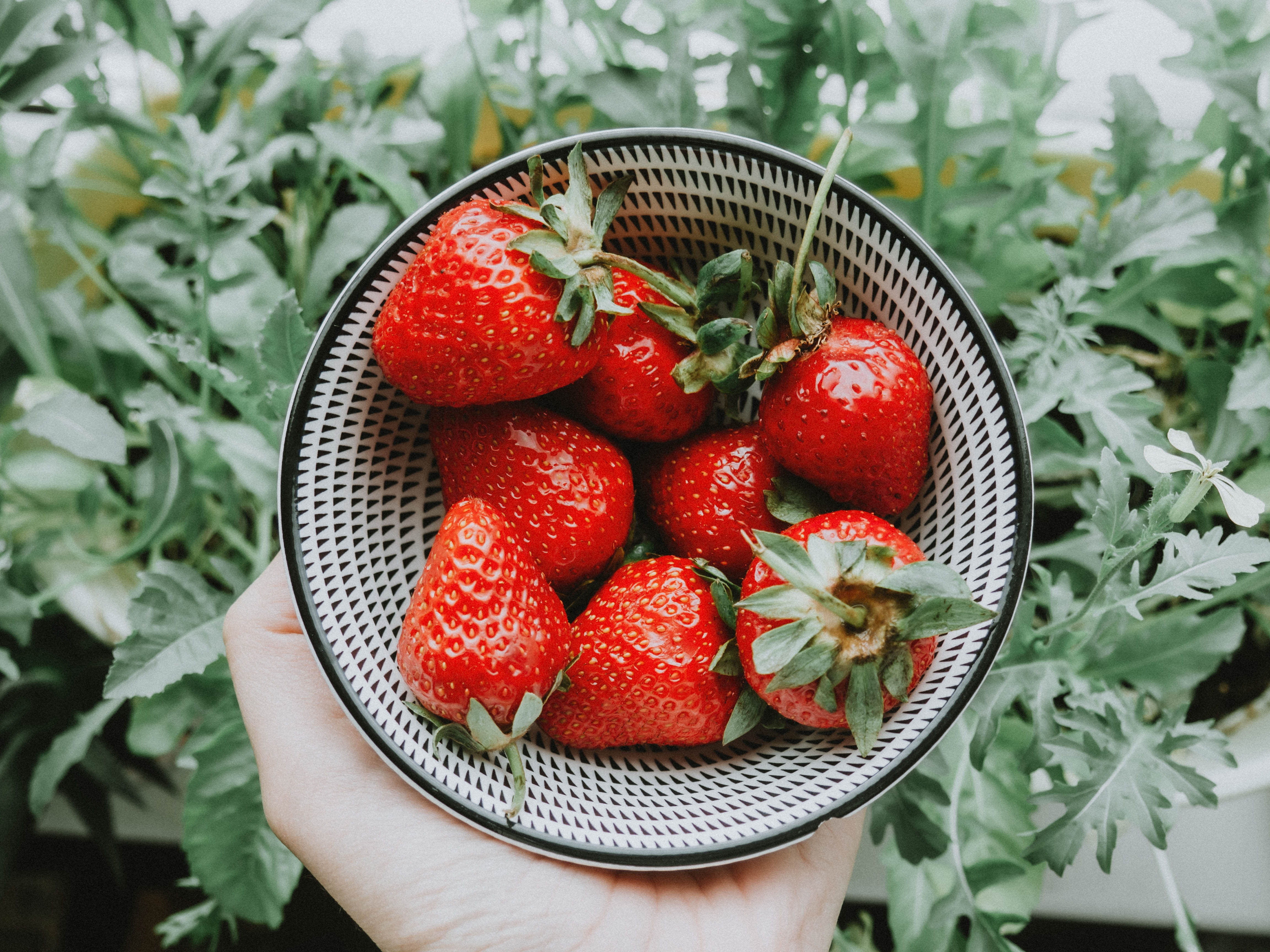 Weekly Tip - Strawberries Top 5 benefits